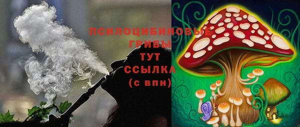 бошки Арсеньев