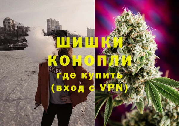 бошки Арсеньев
