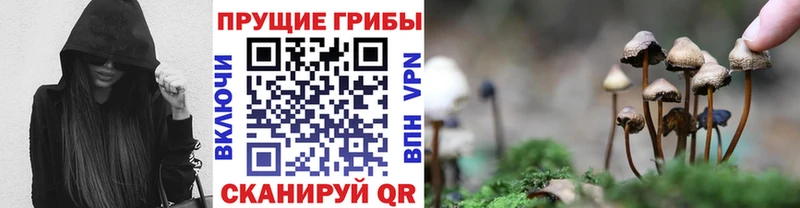 Галлюциногенные грибы Cubensis  Уварово 